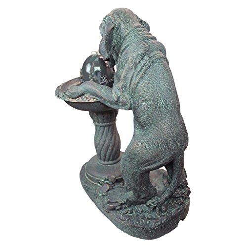 Design Toscano Water Fountain - Dog's Refreshing Drink Garden Decor Dog Fountain - Outdoor Water Feature, Gothic Stone #TOP2