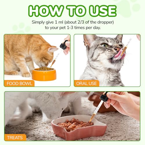 Verstopfung Reltf Für Katzen, Natürliches Sanfte Abführmittel - Förderung regelmäßiger Darmtätigkeit & Darmgesundheit,Antibiotika Katze Blasenentzündung,6 probiotika Katze für gesunde Verdauung 60ml