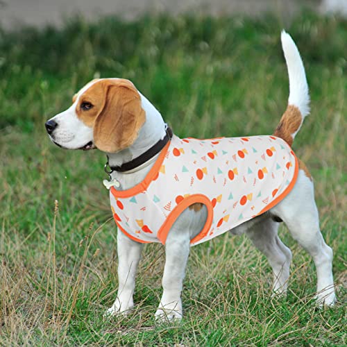 Preferhouse 2 Pieces Dog T-Shirt Dog Cat Geometry Print Vest With Pocket Puppy Kitten Tee Pet Apparel Summer Breathable T-Shirts Suitable For Small And Medium Pets, S #TOP5