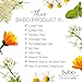 Babo Botanicals Purifying Swim & Sport 2-in-1 Shampoo & Wash with Natural Cucumber and Aloe Vera, for Babies, Kids or Sensitive Skin 16 Fl Oz