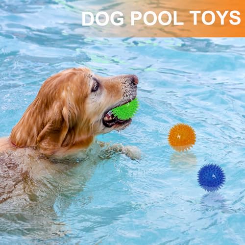 EuAcesry Bälle für Hunde, 3 Stück Hundespielzeug, unzerstörbar, interaktives Spielzeug für Hunde, aus Gummi, für kleine und mittelgroße Hunde (Blau, Grün, Orange)