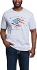 ARIAT Mens Eagle Freedom Short Sleeve T-Shirt, Athletic Heather Medium