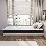 Osminthe B0GSB16VTW lato 2