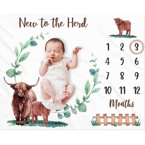 Image of Gicoherero Highland Cows Baby Monthly Milestone Blanket Scotland Photo Prop Month Blanket Growth Chart Gift Ideas for Newborn Boy Girl Nursery Décor Baby Shower 40" X 50"