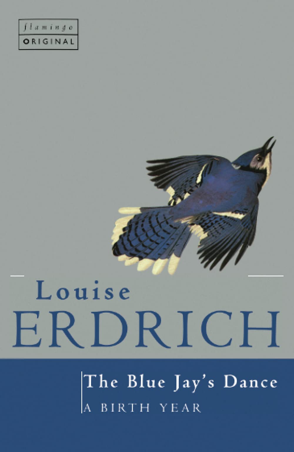 The Bluejays Dance by Louise Erdrich - 9780006547907