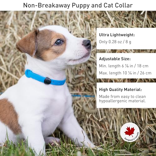 Collar para perros pequeño ajustable azul Nuvuq miniatura 3