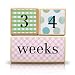 LovelySprouts Milestone Age Blocks | Solid Wood | Baby Age Photo Blocks | Perfect Baby Shower Gift, Neutral