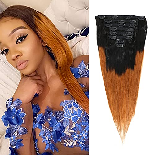 Clip in Human Hair Extensions Heat Resistant Ombre Straight Hair 130g 100% Human Hair 8Pcs Total of 18 Clips Hair Extensions For Black Women Virgin Hair(20 Inch，#1B/30 Brown)