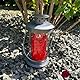Mariles Laterne zum Stellen mit Griff wetterfest 17 cm Grablaterne Grablicht Grableuchte Friedhofslaterne Windlicht Gartenlaterne Gartenlicht Garten Grab Friedhof