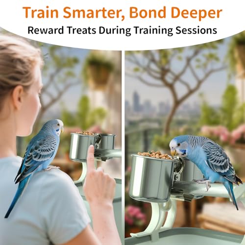 Image of Bird Desktop Training Stand with Detachable Stainless Steel Double Bowls Feeder, Easy Clean Portable Bird Perches Stand with Detachable Base for Parakeets, Small-Sized Birds, Parakeet Cage Accessories