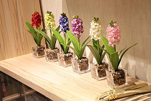 عبوة حصى نهري بتصميم مصقول طبيعي بحجم صغير ومزخرف، أحجار ملونة مختلطة، للأحواض المائية والمناظر الطبيعية وحشوات المزهريات والديكور من رويال سفير، 907 جرام، ورق، سافهاير، متعدد الألوان