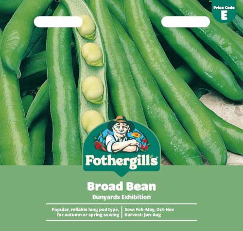 Fothergills Broad Bean Bunyards Exhibition Vegetable Seeds 45 Seeds Sow: Feb-May Oct-Nov Green