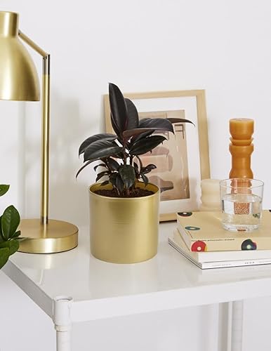 Miniatura 6 de Vixdonos Macetas de metal para jardín, contenedores redondos para suculentas, paquete de 2 macetas de cactus con orificio de drenaje (5.9 pulgadas +