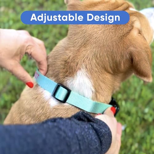 Pawtitas Personalized Dog Collar Small Dog Collar Embroider with Name Phone Number Puppy Collar Adjustable Customized Collar for Small Dogs Breeds Puppy Teal Dog Collar