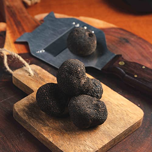 Lord Trufflel | Schwarzer Sommertrüffel in italienischer Salzlake 17 g, Duft von Unterholz, Gourmet Frischer Schwarzer Trüffel 1° Wahl, 100% Italienische Spitzenqualität