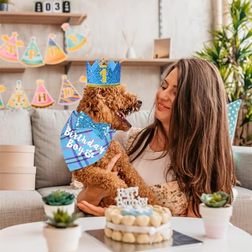 Suministros para fiesta de cumpleaños de perro, sombrero y bandana miniatura 7