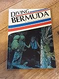 Diving Bermuda