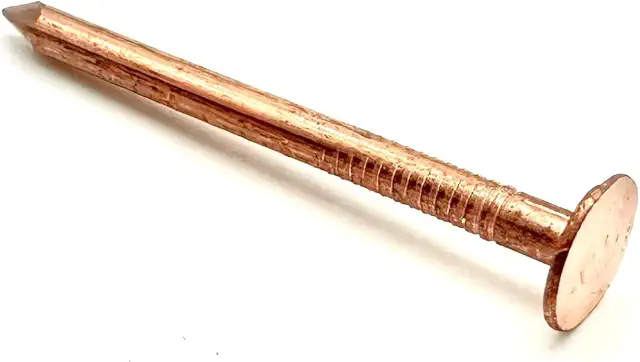 Jones DIY 10 PCS Copper Clout Nails - Heavy Duty Tree Stump Killers, Varying Lengths