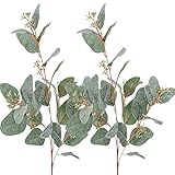 Perfekt, um Ihre eigenen Blumenarrangements wie Blumensträuße, Kranz, Girlande, Mittelstücke, Haarschmuck und viele weitere florale Dekorationsprojekte zu erstellen oder einfach in eine Vase zu packen. Es ist eine großartige Dekoration für Hochzeit, Geburtstag, rustikale Brautdusche Dekor, Kinderzimmer Dekor, Baby Dusche Dekor. Dank der grünen Umgebung fühlen sich Ihre Räume sofort energiegeladen und Sie werden einfach glücklicher, schlichter und einfacher.