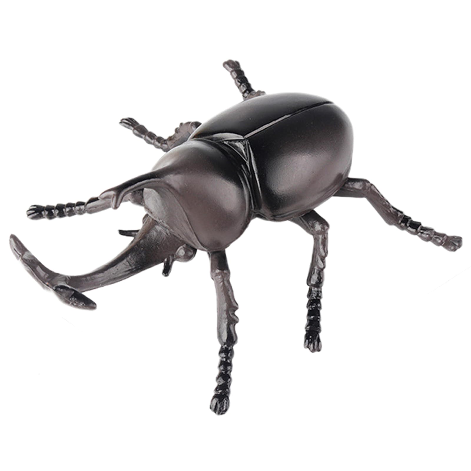 Amazon.co.jp: AENIMELY 大型サイカブトムシフィギュア – 中空でリアル
