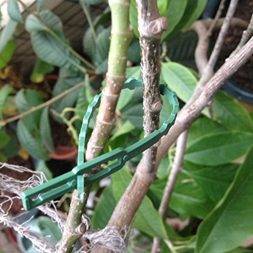 Generic 30Pcs 16. 5Cm Plastic Cable Ties Gardening Clips Plant Ties Green