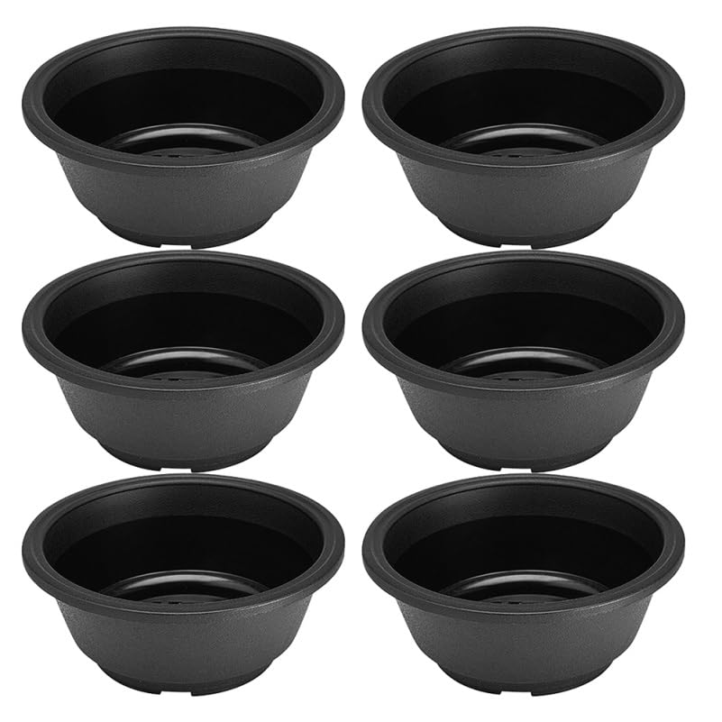 Healifty 6 Pack Plastic Succulent Plant Pots with Hollow Bottom 6.22In Round Low Profile Garden Planters for Indoor and Outdoor Flower Planting