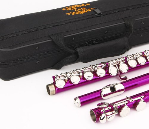 Amazon.com: Glory Closed Hole C Flute With Case, Tuning Rod and
