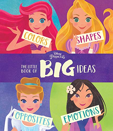 DISNEY PRINCESS THE LITTLE BOOK OF BIG I