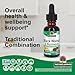 Nature's Answer Black Walnut and Wormwood Complex | Promotes Overall Health and Wellbeing | Super Concentrated 2,000mg | Vegan, Non-GMO, Gluten-Free & Alcohol-Free | Promotes a Healthy Gut (1 Fl Oz (Pack of 2))