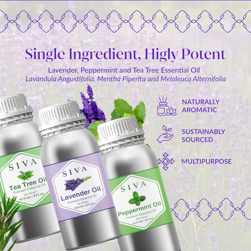 Siva Aceites Esenciales Lavanda, Árbol de té y Menta 16 oz Combo miniatura 3