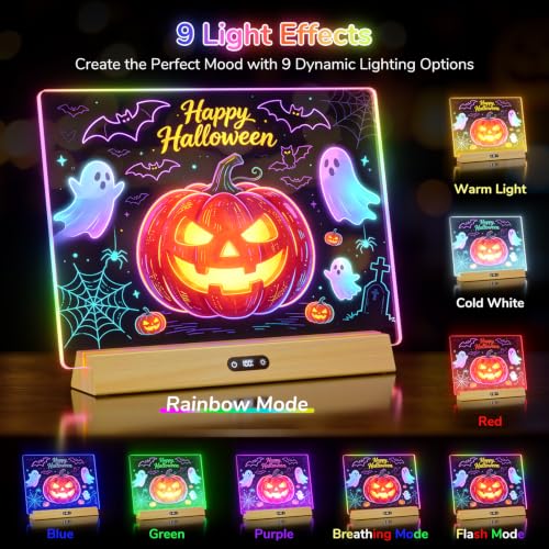 View 4