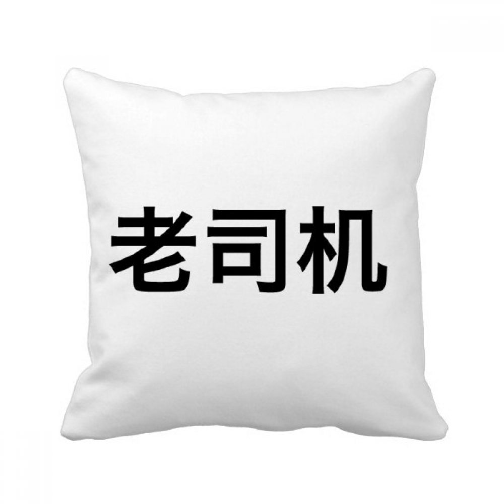 Coussin carrée Valeur de Base Chinoise Populaire 40x40cm multicolore pour décor de canapé