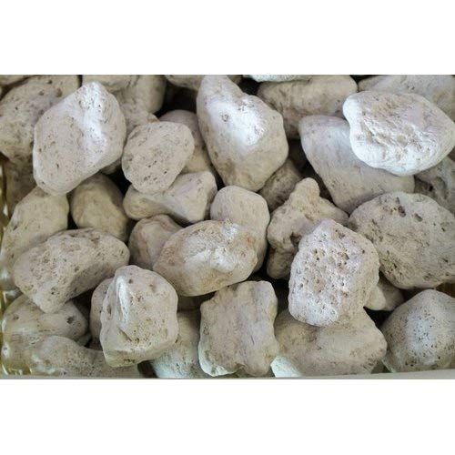 See full amazon price history chart for KOO Retails White Porous Pumice/Lava Rock for Bonsai/Orchid Soil 200 GMS KOO Retails White Porous Pumice/Lava Rock for Bonsai/Orchid Soil 200 GMS (B08DRTDVMP) Amazon Price History, Amazon Price Tracker