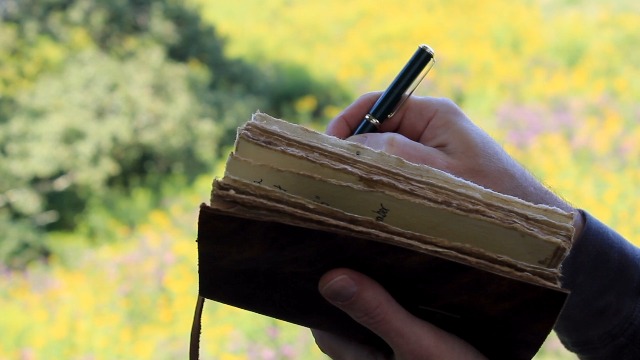 Amazon.com: Wanderings Vintage Leather Journal - 7