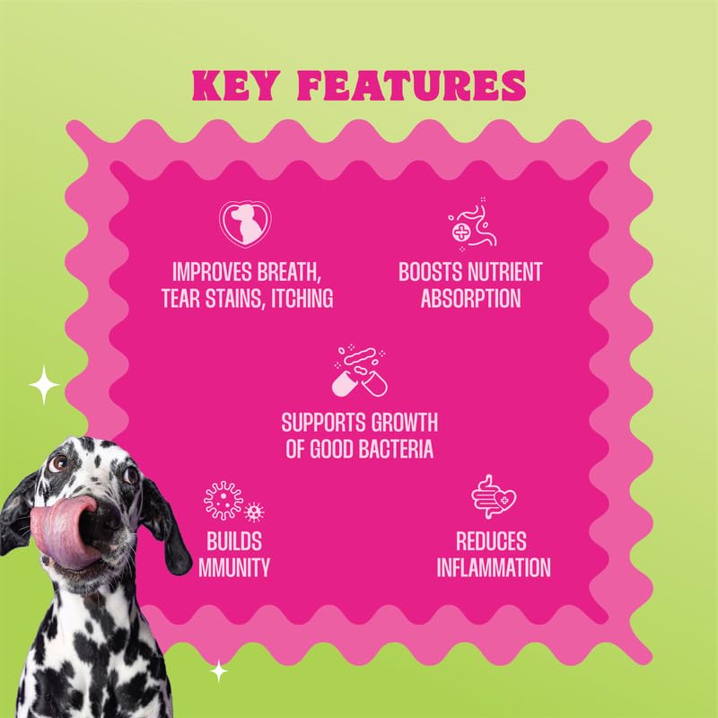 Image of Wellie Bellie Bites Probiotic Dog Treats | Real Chicken Flavor | Prebiotics & Probiotics for Gut Health & Immune Support | 4 Billion CFU | Helps Reduce Gas, Bloating & Bad Breath | 100g x 4