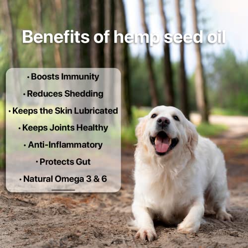 Ananta-Hemp-Works-Hemp-Seed-Oil-I-100ML-I-Specially-for-Dog-I-Cat-I-Relax-Your-Pets-I-Fight-Anxiety-I-Pet-Joint-Support-I-Improve-Skin-I-100-Ayurvedic-Natural-I-No-Side-Effects