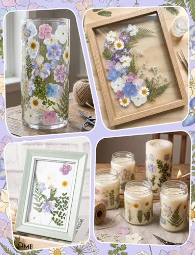 120 flores secas prensadas de hortensia para manualidades miniatura 6
