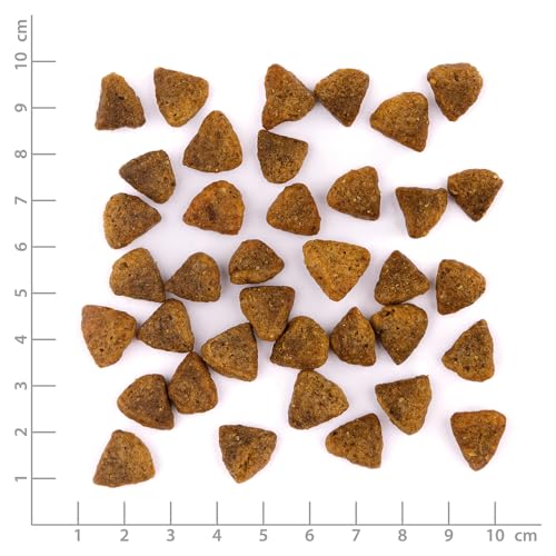 Wildes Land PawPrint - Veggie - 10 kg - Kürbis & Karotte mit frischem Gemüse & Wildkräutern