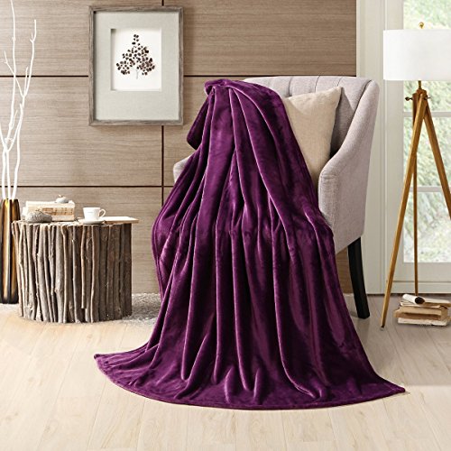 Hyseas Flannel Fleece Throw Blanket Purple - Super Soft Plush Microfiber Solid Blanket For Couch, Bed, Chair, Sofa - Fuzzy Cozy Lightweight - 50X60 Inch #TOP1