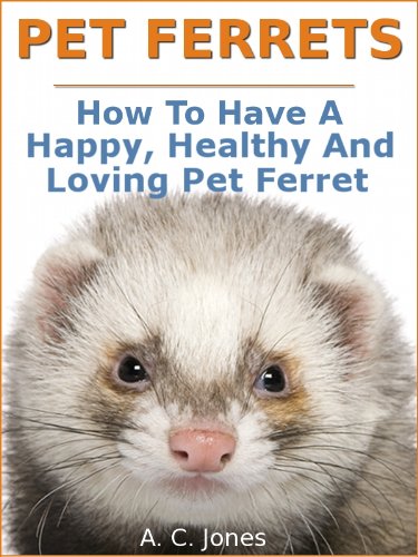 ferret pet store