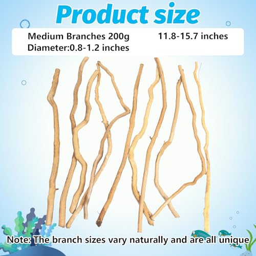 Image of Hamiledyi Natural Driftwood for Aquarium Decor - Red Moor Wood 10 inch-15 inch Long Assorted Shapes (200g) Safe Branches for Fish Tank & Reptile Habitat - Natural Aquarium Wood Decorations (Medium Branches)