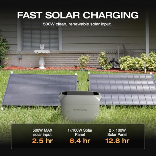 EcoFlow Delta Pro power station
