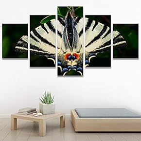 SIGNWIN 5 Panel Canvas Wall Art Open Wings...