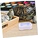 Yardwe 10Pcs Lizard Water Bowl Gecko Food Dish Durable Feeding Bowls for Reptiles for Turtles Lizards and More Inward Design Prevents Food Escape