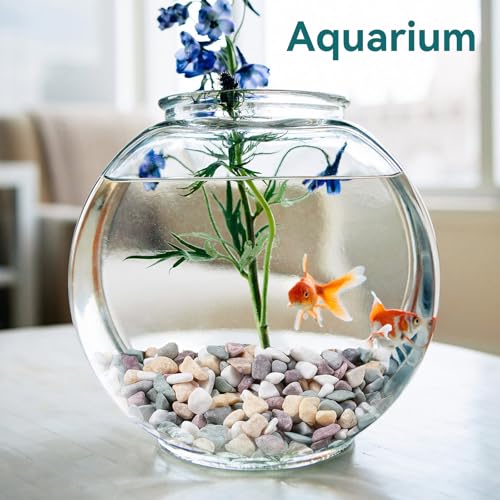 Image of 2.5 lbs Natural Pea Gravel Pebbles for Aquarium, Fish Tank, 3 /8 inch Decorative Pebbles for Indoor Plants, Succulent, Bamboo, Vase, Drainage Rocks for Potted Plants, Top Dressing, Mixed Color