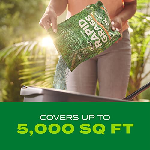 Scotts Turf Builder Rapid Grass Bermudagrass, 4 lbs. - image 8