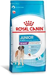 Ração Cães Filhotes Giant Júnior Gigante 12kg Royal Canin