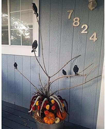 5 Pcs Halloween Crow Fake Artificial Feather Raven Bird Toys Prop Fancy Dress Decoration Spooky Blackbird Party Home Garden Decor Display (Black)