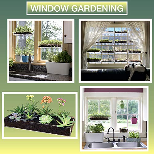 Window Garden Multi-Use Acrylic Planter Tray + Fiber Soil + Sprayer = Gorgeous Succulent, Dish and Herb Gardens | Grow Microgreens, Wheatgrass Seed | Centerpiece | Drip Tray | Fairy Gardens (2 Pack).