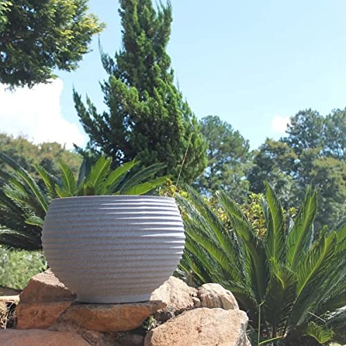 Vaso Lattice Esfera 34 Japi Lattice Esfera Cafe